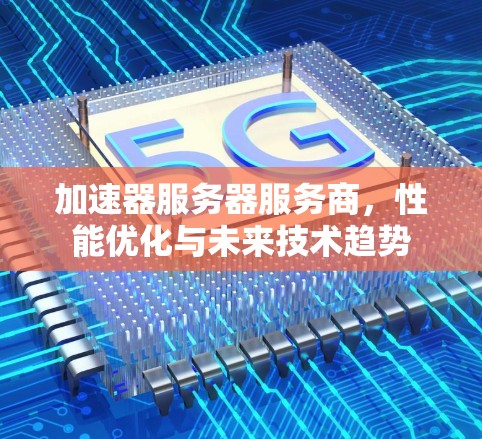 加速器服务器服务商，性能优化与未来技术趋势