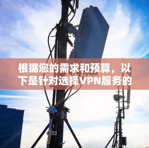 根据您的需求和预算，以下是针对选择VPN服务的分步建议