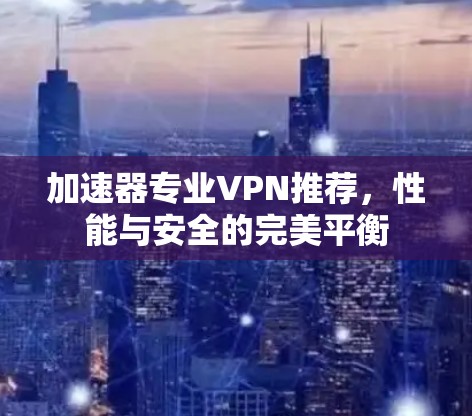 加速器专业VPN推荐，性能与安全的完美平衡