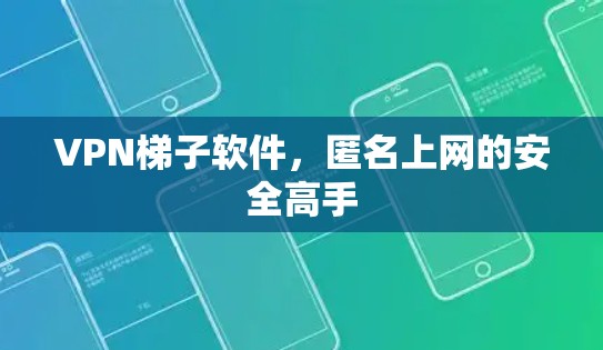 VPN梯子软件，匿名上网的安全高手