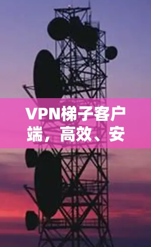 VPN梯子客户端，高效、安全的网络解决方案