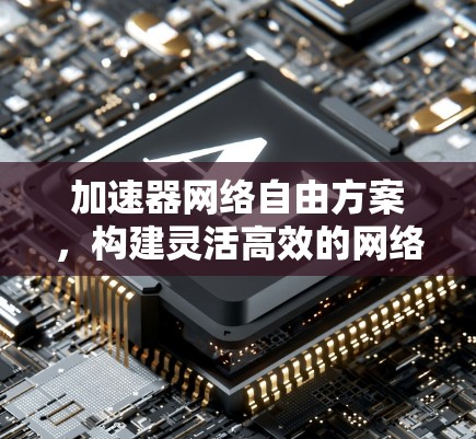 加速器网络自由方案，构建灵活高效的网络环境