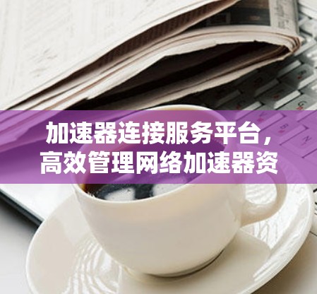 加速器连接服务平台，高效管理网络加速器资源