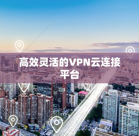 高效灵活的VPN云连接平台