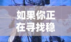 如果你正在寻找稳定且可靠的VPN服务，以下是一些知名的VPN品牌及其特点，供你参考