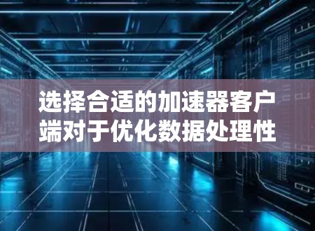 选择合适的加速器客户端对于优化数据处理性能至关重要。以下是基于不同使用场景和需求的推荐