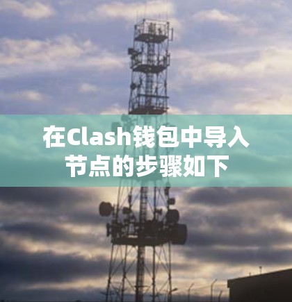 在Clash钱包中导入节点的步骤如下