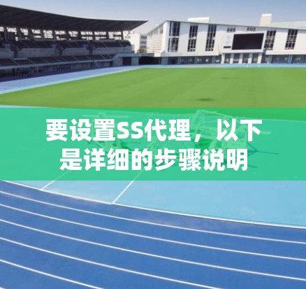 要设置SS代理，以下是详细的步骤说明