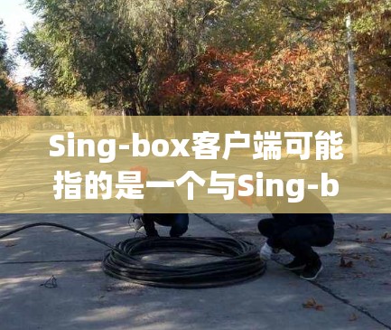 Sing-box客户端可能指的是一个与Sing-box相关的软件或服务的客户端程序。然而，目前并没有广泛知名的以Sing-box命名的软件或服务。以下是一些可能的解释和建议