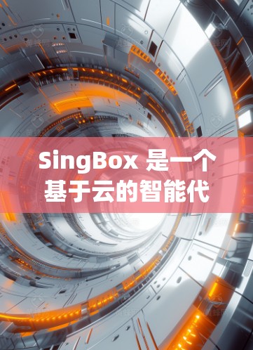 SingBox 是一个基于云的智能代理工具，专为 SaaS 应用设计，帮助企业高效管理多种云服务资源。以下是对 SingBox 的详细分析和总结