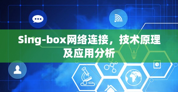 Sing-box网络连接，技术原理及应用分析