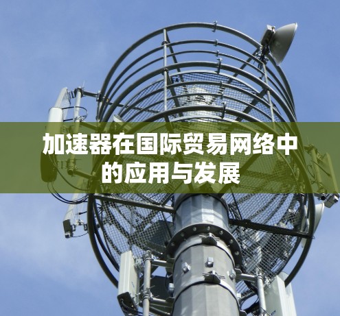 加速器在国际贸易网络中的应用与发展