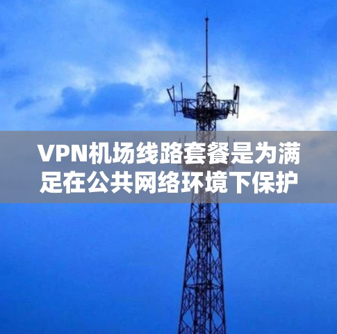 VPN机场线路套餐是为满足在公共网络环境下保护隐私和安全的需求而设计的服务。以下是对这个套餐的详细分析和建议