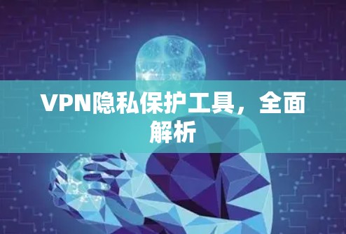 VPN隐私保护工具，全面解析