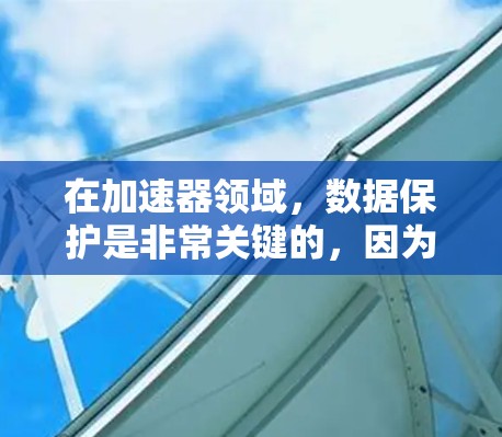在加速器领域，数据保护是非常关键的，因为加速器生成的大量数据可能包含敏感信息或机密知识。为了保护这些数据，以下是一些常用的数据保护工具和技术