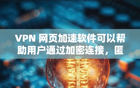 VPN 网页加速软件可以帮助用户通过加密连接，匿名浏览网页，避免网络监控，同时也能加速访问受限或受限地区的网站。常见的 VPN 网页加速软件包括以下几类