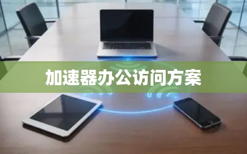 加速器办公访问方案