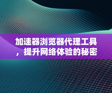 加速器浏览器代理工具，提升网络体验的秘密武器