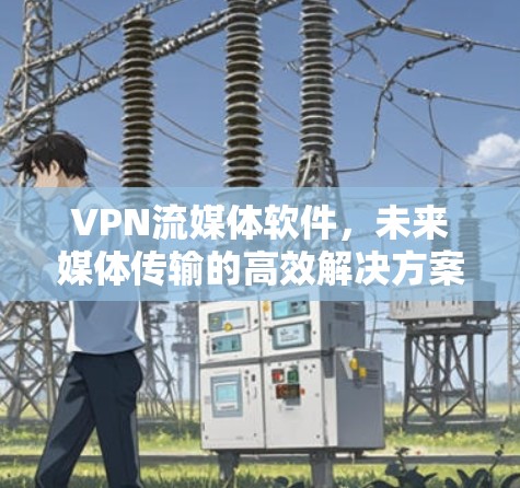 VPN流媒体软件，未来媒体传输的高效解决方案