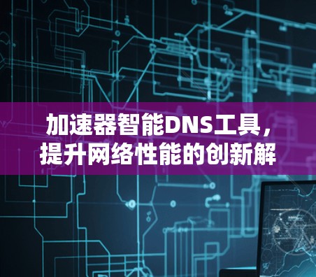 加速器智能DNS工具，提升网络性能的创新解决方案