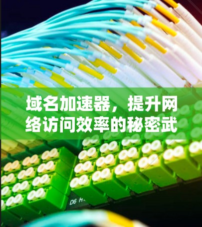 域名加速器，提升网络访问效率的秘密武器