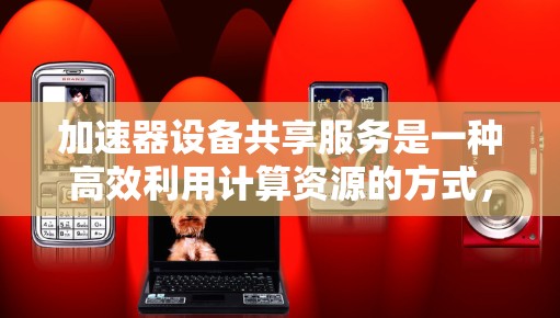 加速器设备共享服务是一种高效利用计算资源的方式，特别适合需要大量计算能力的任务。以下是对加速器设备共享服务的详细分析和总结