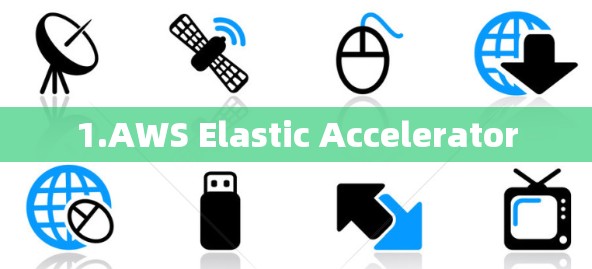 1.AWS Elastic Accelerator