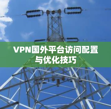 VPN国外平台访问配置与优化技巧