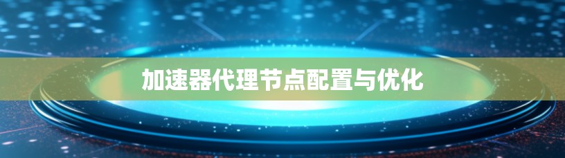 加速器代理节点配置与优化