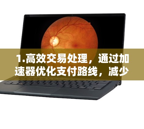 1.高效交易处理，通过加速器优化支付路线，减少交易确认时间，提高交易速度