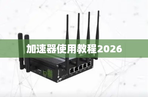 加速器使用教程2026