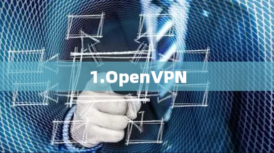 1.OpenVPN