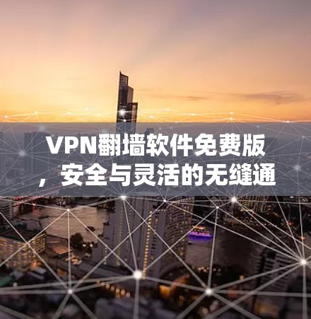VPN翻墙软件免费版，安全与灵活的无缝通道