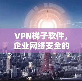VPN梯子软件，企业网络安全的灵活解决方案