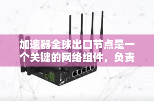 加速器全球出口节点是一个关键的网络组件，负责在加速器网络中高效处理和路由数据包，确保数据能够快速、安全地在全球范围内传输。以下是对全球出口节点的详细分析