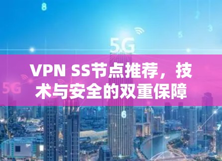VPN SS节点推荐，技术与安全的双重保障