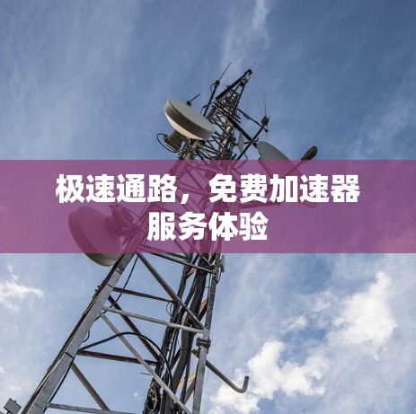 极速通路，免费加速器服务体验