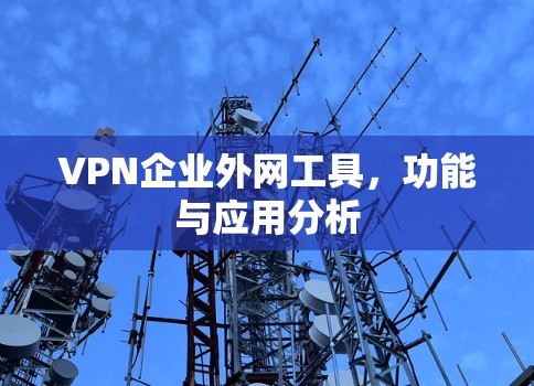 VPN企业外网工具，功能与应用分析