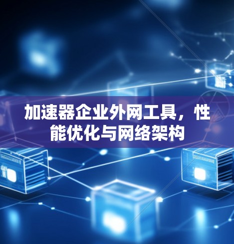 加速器企业外网工具，性能优化与网络架构