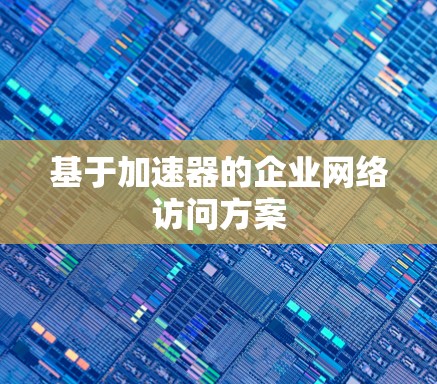 基于加速器的企业网络访问方案