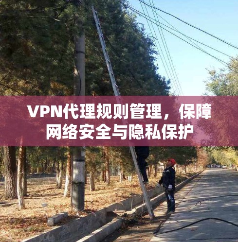 VPN代理规则管理，保障网络安全与隐私保护