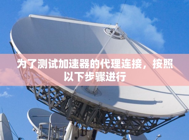 为了测试加速器的代理连接，按照以下步骤进行