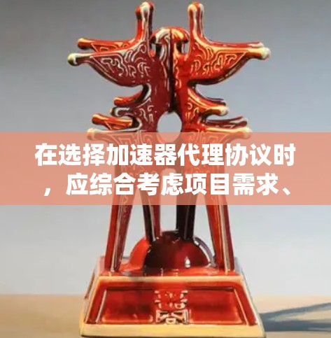 在选择加速器代理协议时，应综合考虑项目需求、技术栈、性能、维护成本和未来扩展性。以下是针对不同需求场景的推荐方案