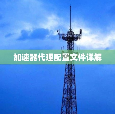 加速器代理配置文件详解