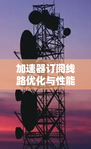 加速器订阅线路优化与性能提升
