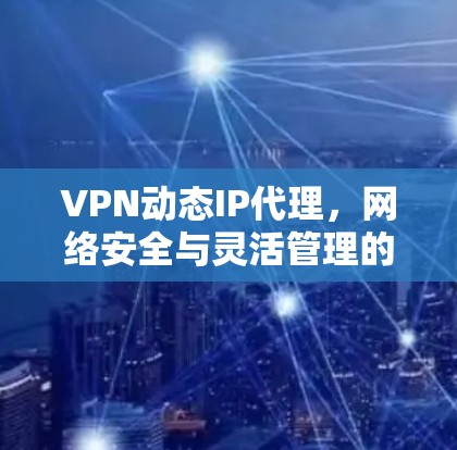 VPN动态IP代理，网络安全与灵活管理的双重保障