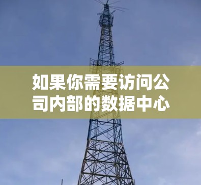 如果你需要访问公司内部的数据中心或资源，通常需要通过VPN连接到公司的内部网络。以下是一些可能的情况