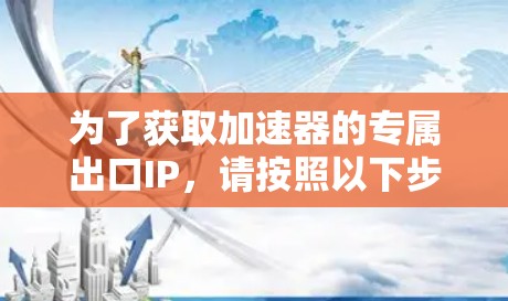 为了获取加速器的专属出口IP，请按照以下步骤操作