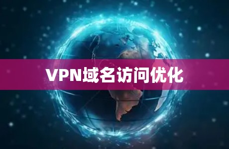VPN域名访问优化