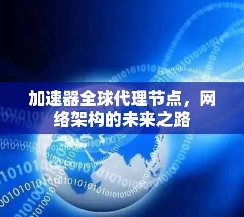 加速器全球代理节点，网络架构的未来之路